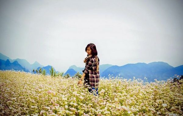 Đến Hà Giang Ngắm Lễ Hội Hoa Tam Giác Mạch Như Trong Cổ Tích
