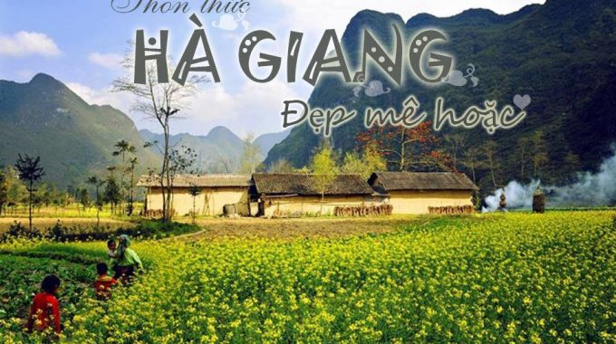 Đến Hà Giang Ngắm Lễ Hội Hoa Tam Giác Mạch Như Trong Cổ Tích